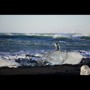 Meet your Posher, Kristina